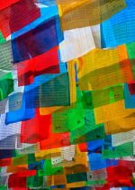 Hạnh từ bi và kham nhẫn giúp hành giả hoan hỉ đón nhận mọi thử thách, đau khổ của con đường tâm linh