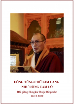 Phụng sự chúng sinh tức cúng dường chư Phật