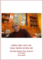 Phụng sự chúng sinh tức cúng dường chư Phật