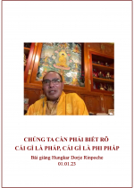 Phụng sự chúng sinh tức cúng dường chư Phật