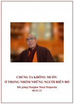 Phụng sự chúng sinh tức cúng dường chư Phật