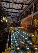 Vô minh khiến chúng ta lo lắng và sợ hãi mà không có nguyên nhân xác đáng