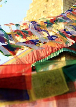 Những thứ đó làm cho mọi người, như chư tăng, ni, xa rời con đường đạo và không bao giờ ngồi xuống được 