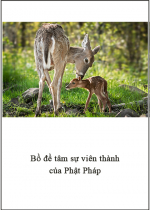 Bồ Đề Tâm Sự Viên Thành của Phật Pháp