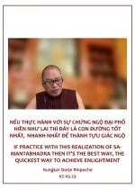 Phụng sự chúng sinh tức cúng dường chư Phật