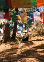 Vì sự vô minh khiến ta chẳng quan tâm đến hạnh phúc của người khác và làm tê liệt con đường của Phật pháp