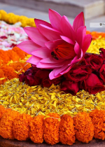  Trí tuệ hiển bày sự thật còn tâm vô minh thường nói điều giả dối  