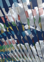 Họ phá vỡ huyết mạch của từ và bi 