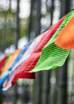 Nếu biết không nói ra hành vi của họ sẽ gây tổn hại Phật pháp mà ta vẫn im lặng, điều đó là sai