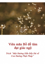 Viên mãn Bồ đề tâm đạt giác ngộ
