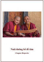 Nuôi dưỡng bồ đề tâm