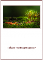 Thế giới của chúng ta ngày nay