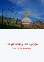  Quy y Tam Bảo là ta đã lập các giới nguyện mà ta cần phải nghiêm cẩn trì giữ 