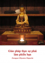 Giáo pháp phải thực sự làm phiền bạn