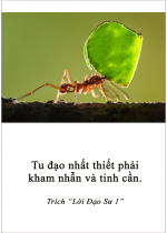 Tu đạo nhất thiết phải kham nhẫn và tinh cần