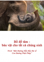 Bồ đề tâm - Báu vật cho tất cả chúng sinh