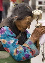 Nơi nương tựa duy nhất