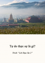Tự do thực sự là gì?