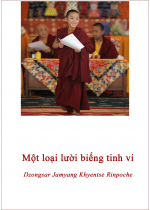 Một loại lười biếng tinh vi