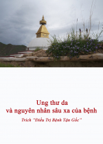 Ung thư da và nguyên nhân sâu xa của bệnh 