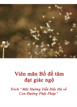 Viên mãn Bồ đề tâm đạt giác ngộ