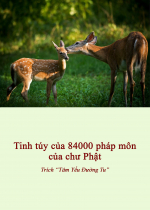 Tinh túy của 84000 pháp môn của chư Phật