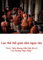 Lạc thú thế gian như ngọn lửa