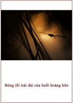 Bóng tối trải dài của buổi hoàng hôn