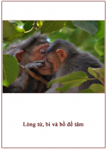 Lòng từ, bi và bồ đề tâm