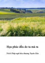 Họa phúc đều do ta mà ra