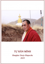 Phụng sự chúng sinh tức cúng dường chư Phật